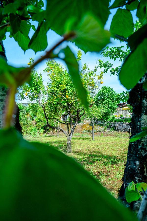 Willa Casa Da Guarda De Fora Paredes  Zewnętrze zdjęcie