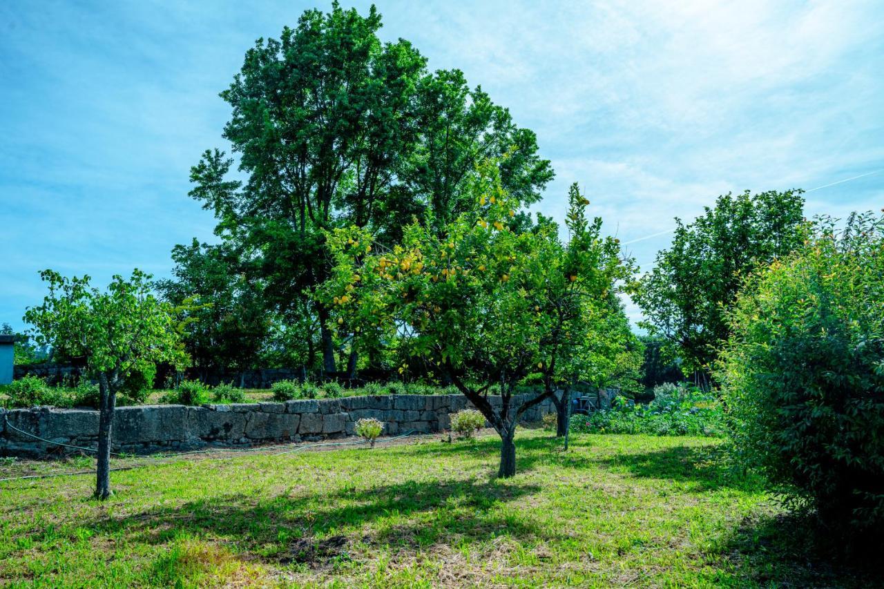 Willa Casa Da Guarda De Fora Paredes  Zewnętrze zdjęcie